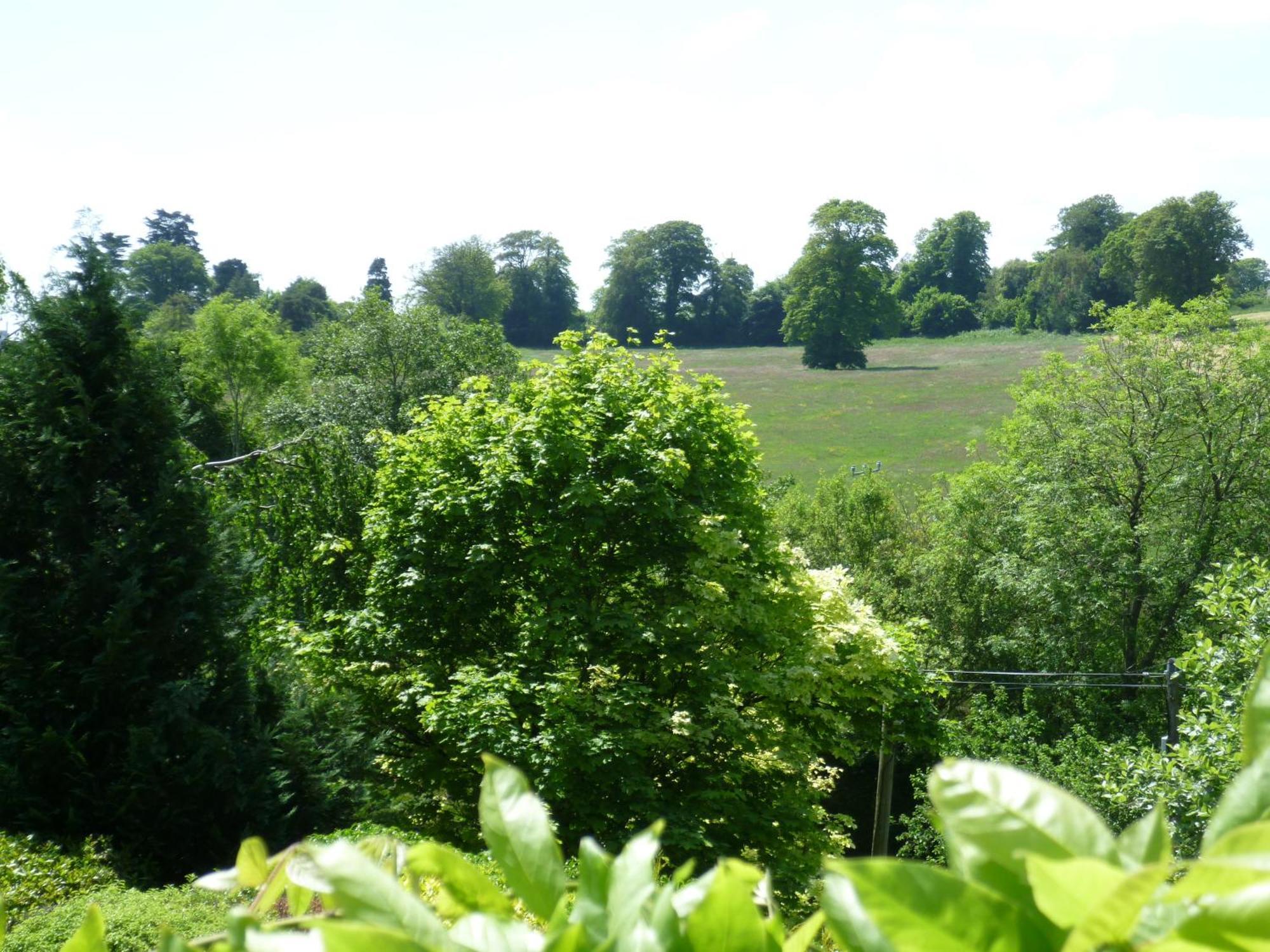 Diamond Hill Country House Waterford Exterior foto